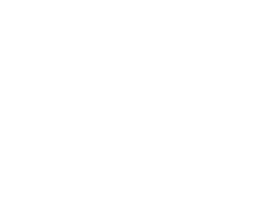 Audífonos